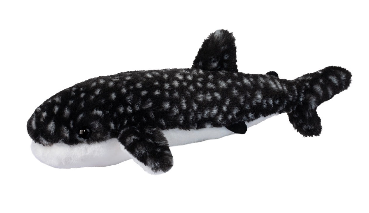 Barnacle Whale Shark