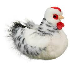 Salty Black White Hen
