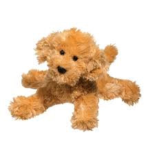 Molasses Labradoodle