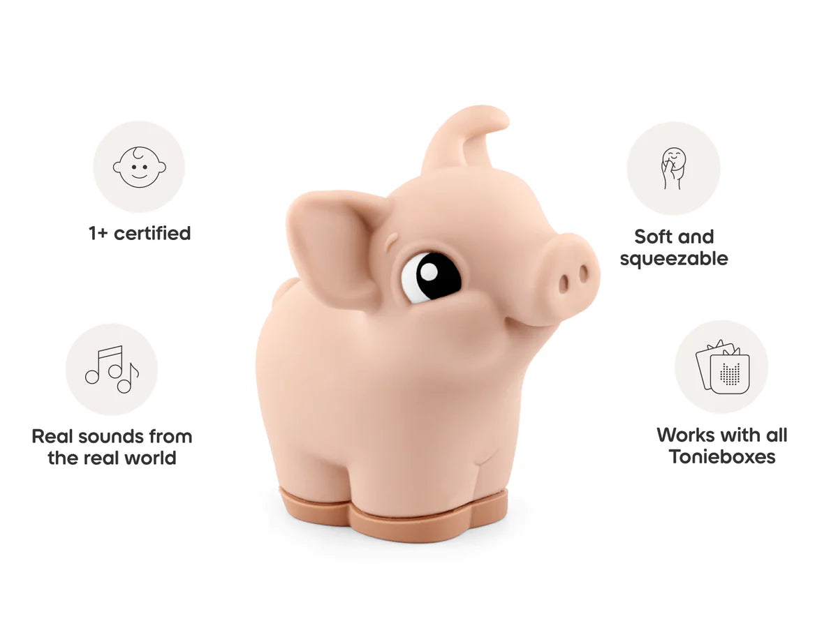 My First Tonies: Pig
