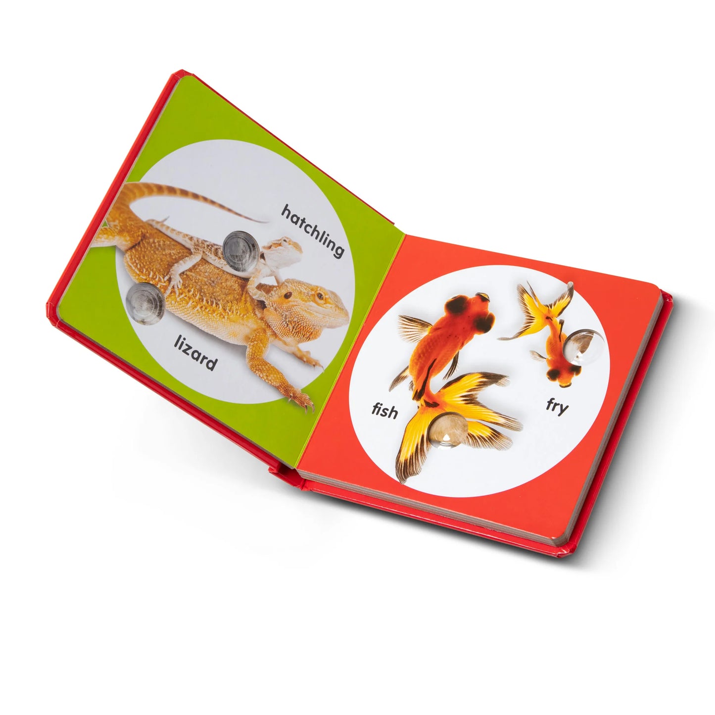 Poke a Dot Pet families