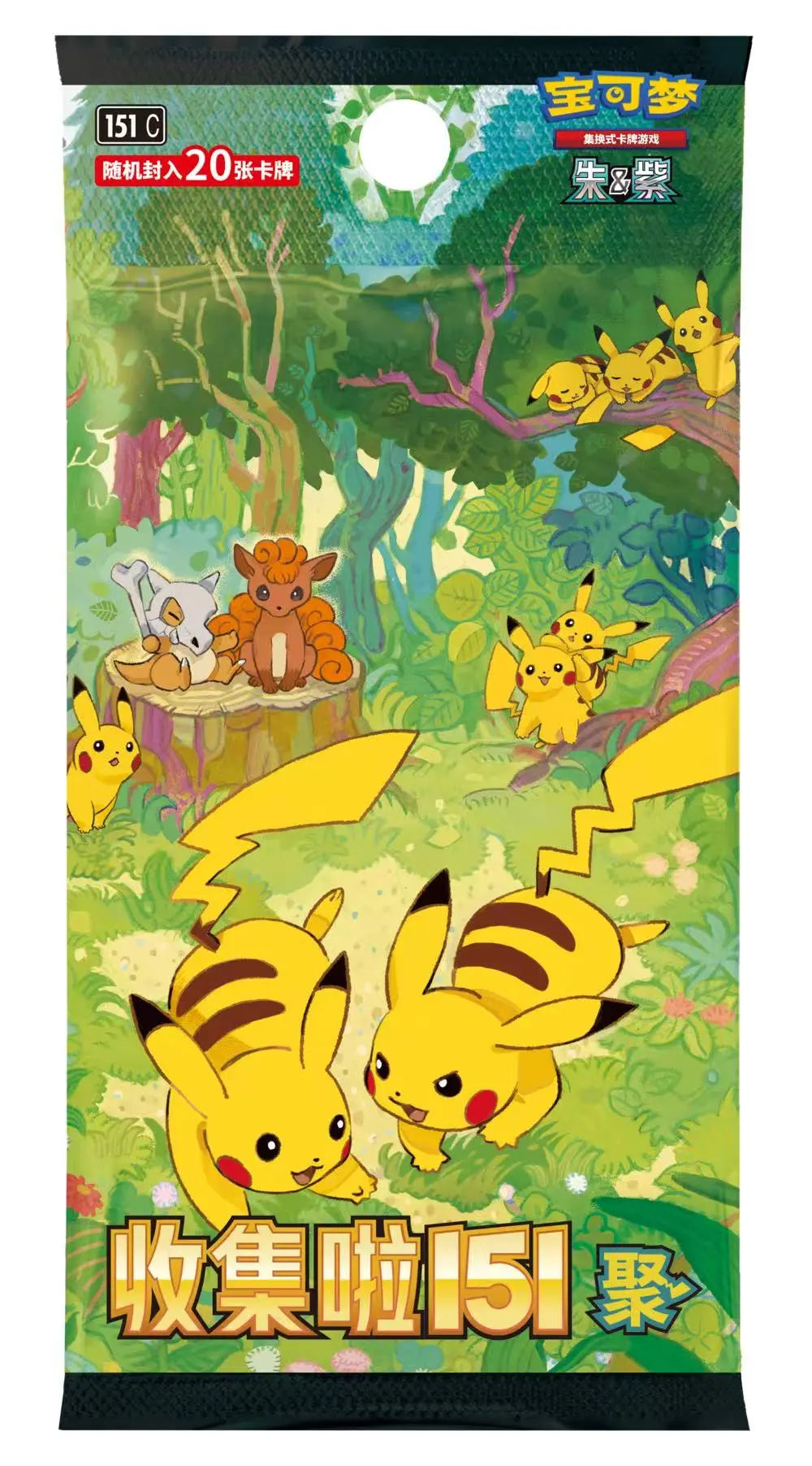 Chinese Pokemon Pikachu Mega fat Pack