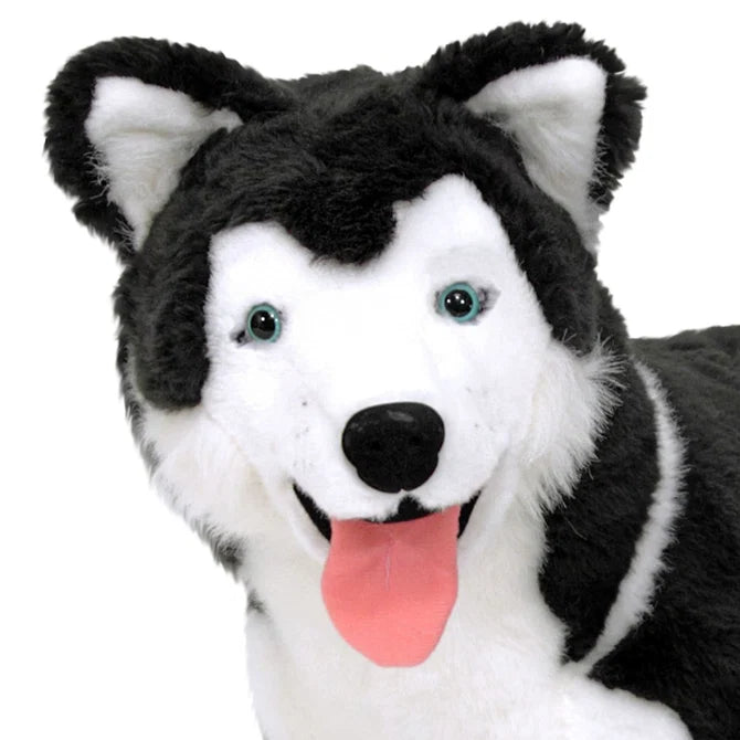 Plush Husky