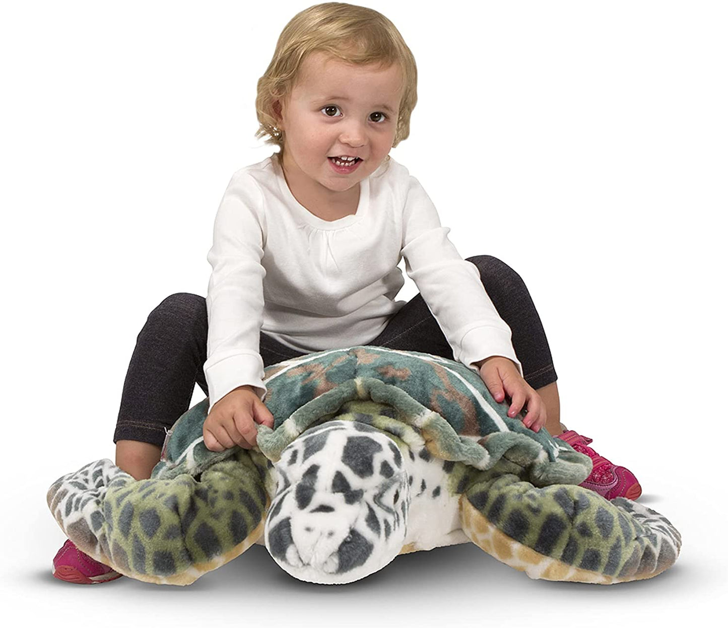 Sea Turtle