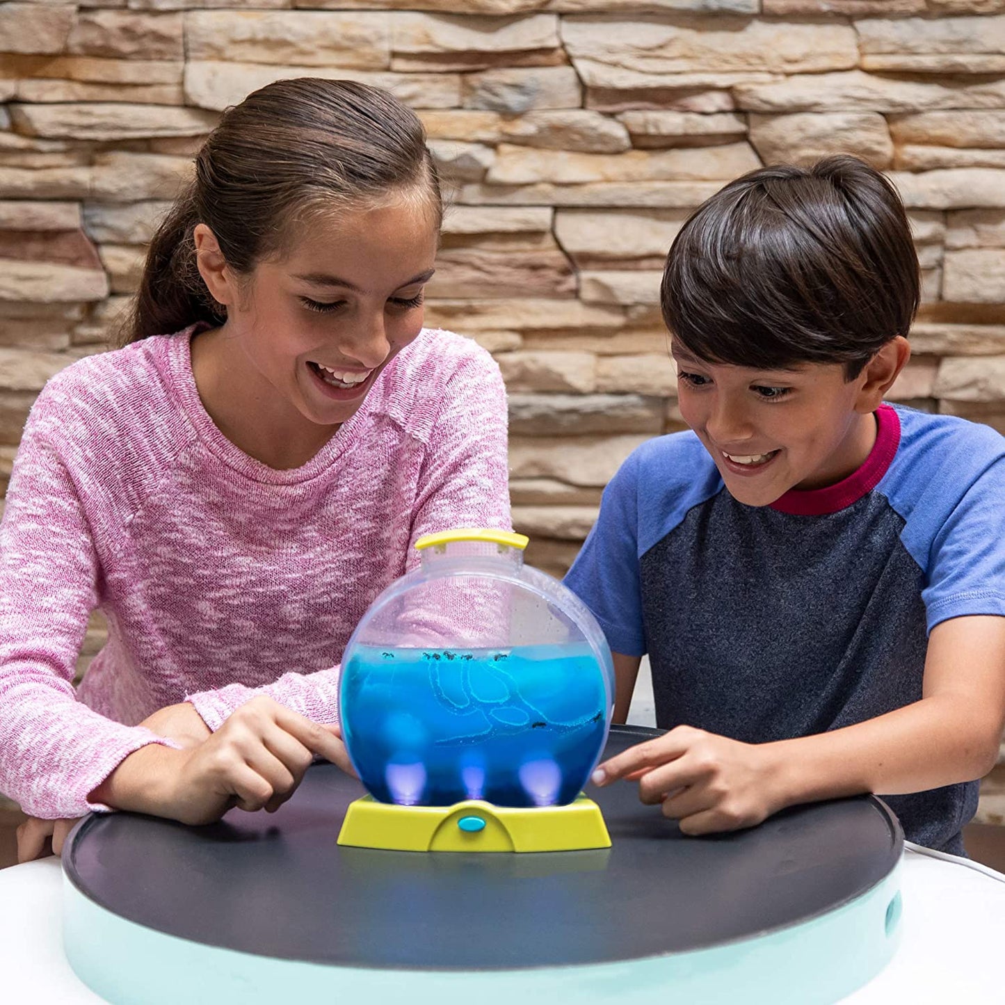 Geosafari Ant Farm Amz