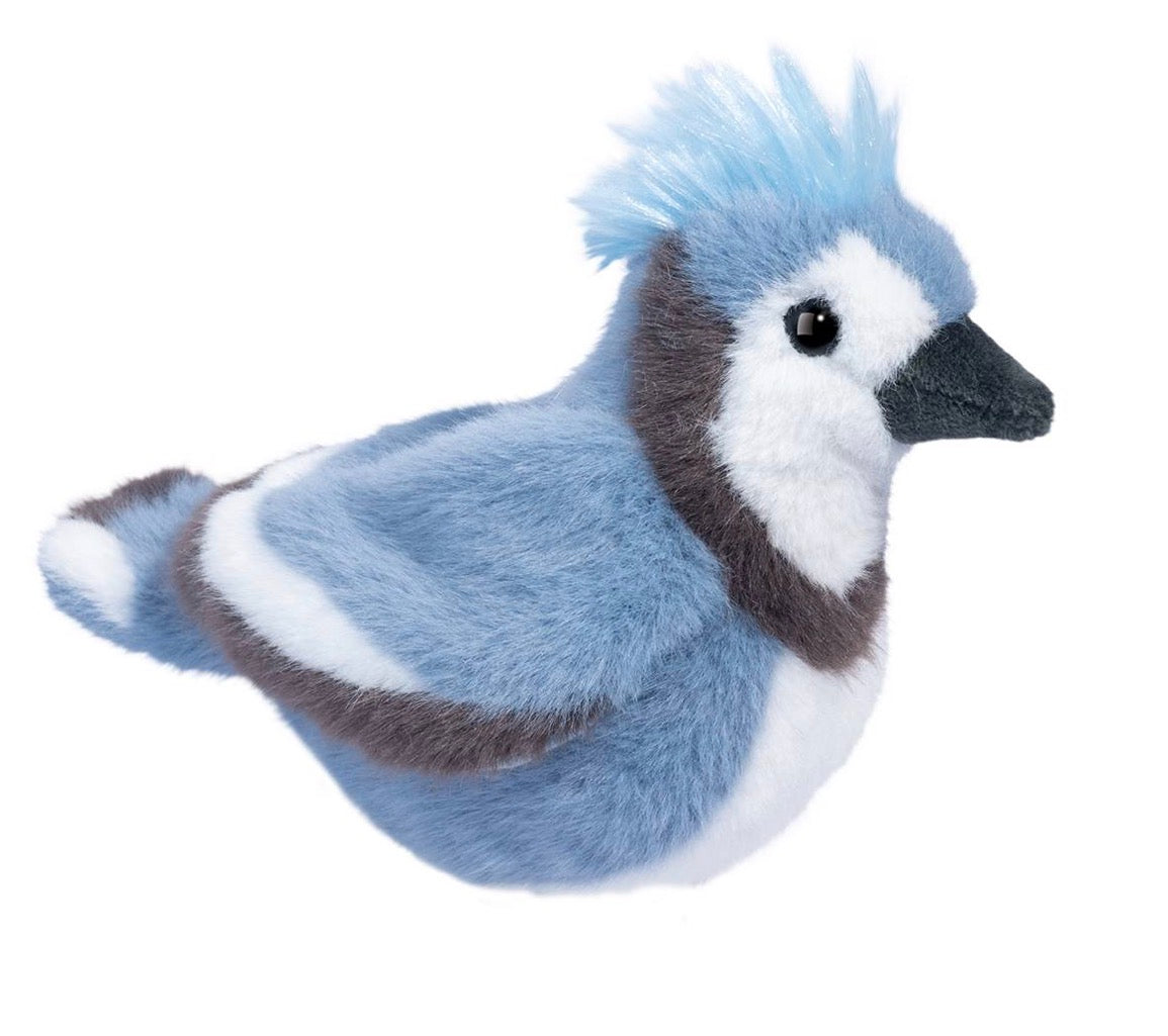 Denim Blue Jay
