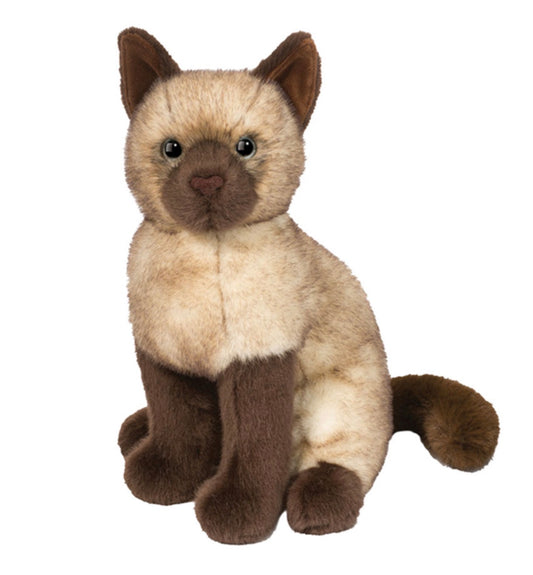 Chai Siamese Cat