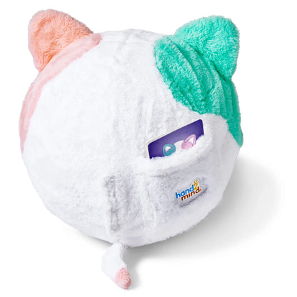 Bubble Plush Yoga Ball Buddy Cat