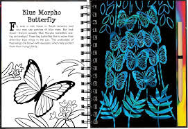 Scratch & Sketch Butterflies N Friends