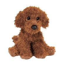 Ginger Miniature Poodle