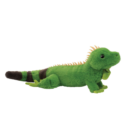 Buddie Iguana