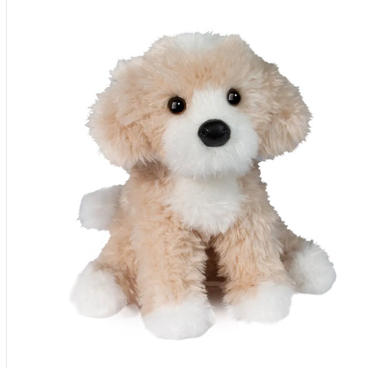 Darcy Golden Doodle