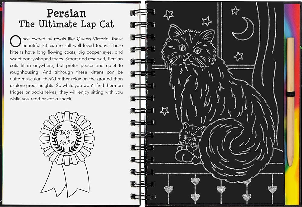 * Scratch & Sketch Kitten