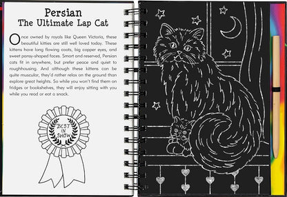 * Scratch & Sketch Kitten