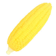 Stretchy and Squishy Scented Corn on the Cob