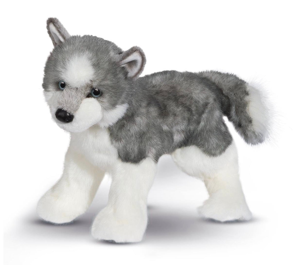 Sasha Husky