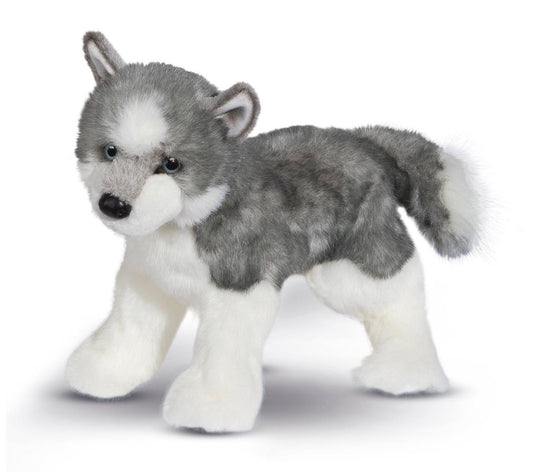 Sasha Husky