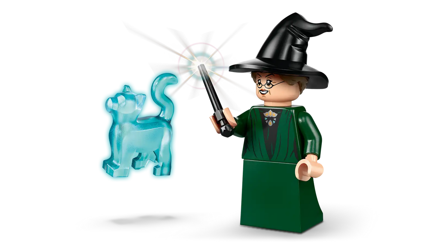 Hogwarts Castle Sorting Hat Ceremony