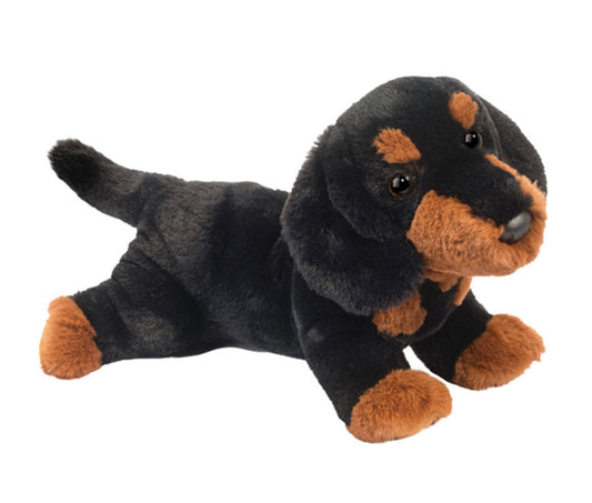 Dottie Dachshund