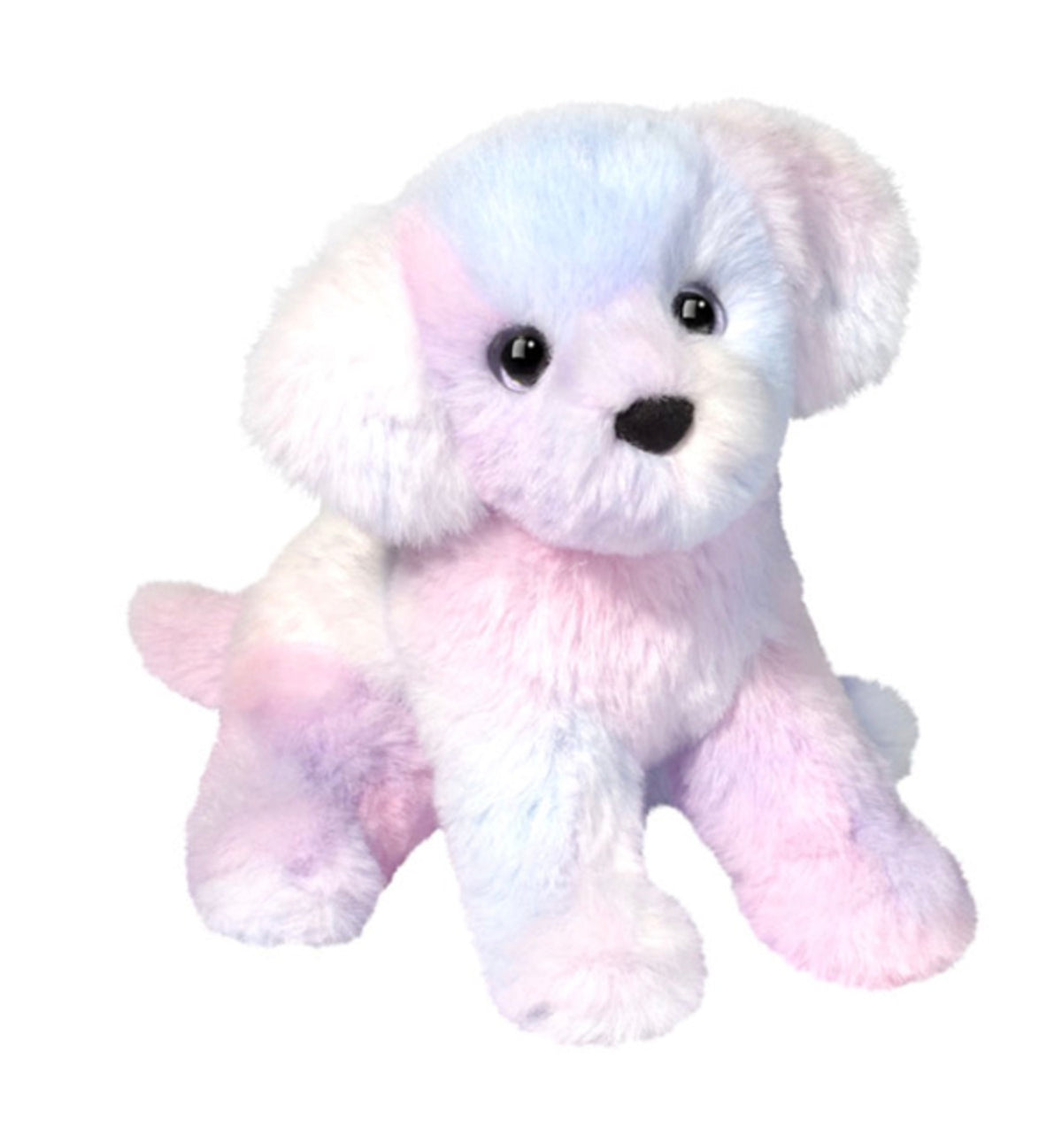 Taffie Rainbow Dog