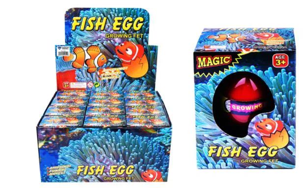 Growing Pet Fish Egg