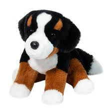 Bowie Bernese Mountain