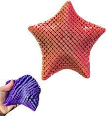 3d Starfish Fidget Mesh