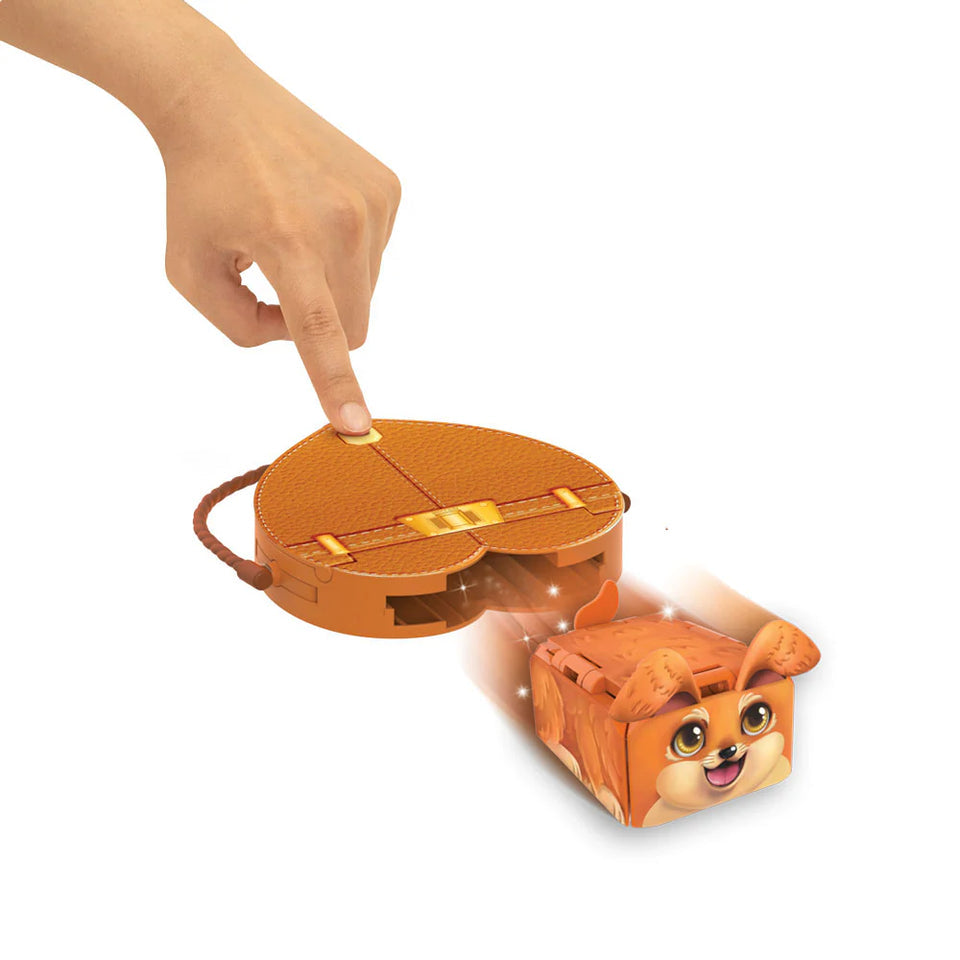 PETS 2 LOVE Flat Racers