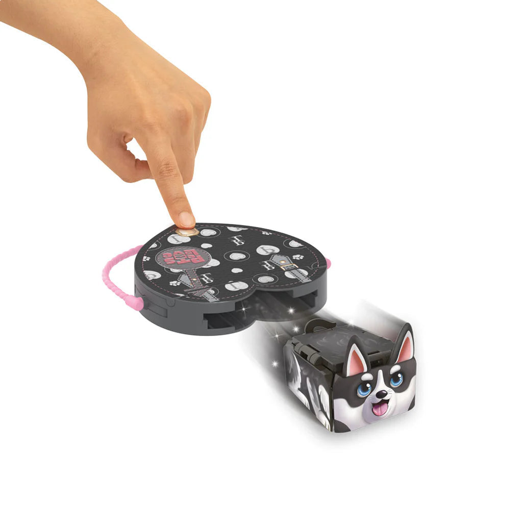 PETS 2 LOVE Flat Racers