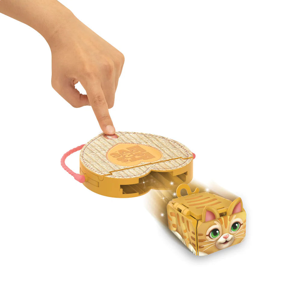PETS 2 LOVE Flat Racers