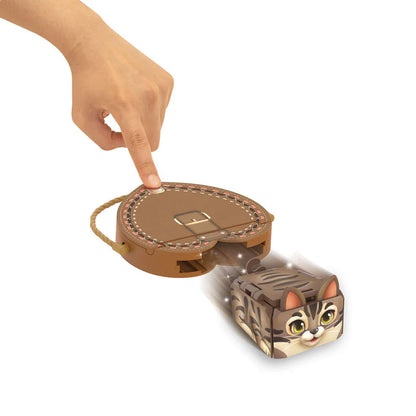 PETS 2 LOVE Flat Racers