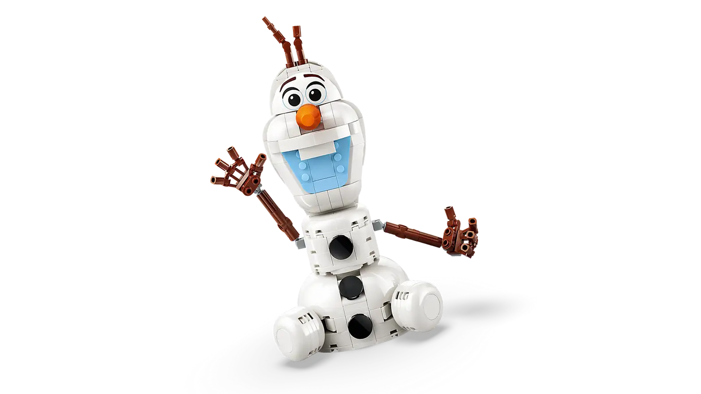LEGO Olaf and Brunis Picnic Fun