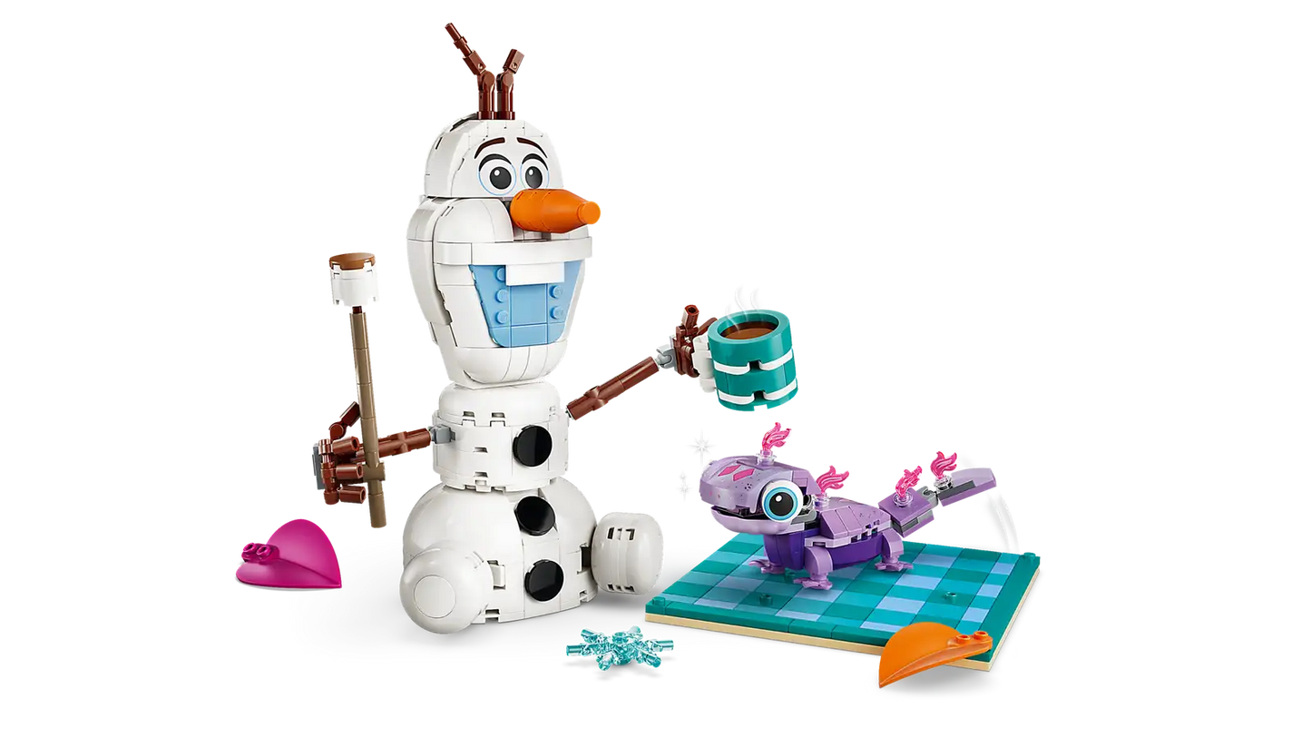 LEGO Olaf and Brunis Picnic Fun