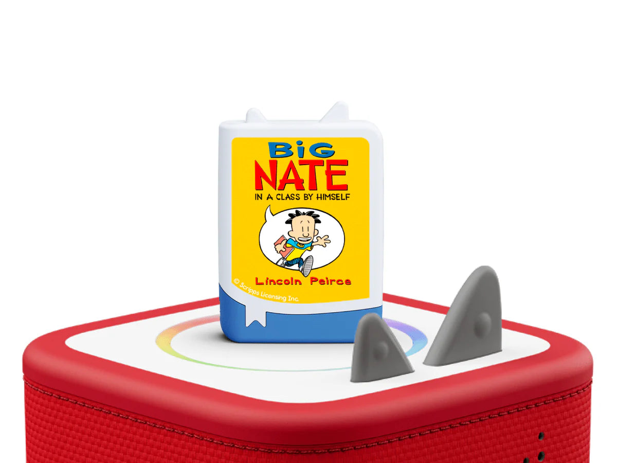 Audiobooks Big Nate