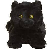 Black Cat Warmies