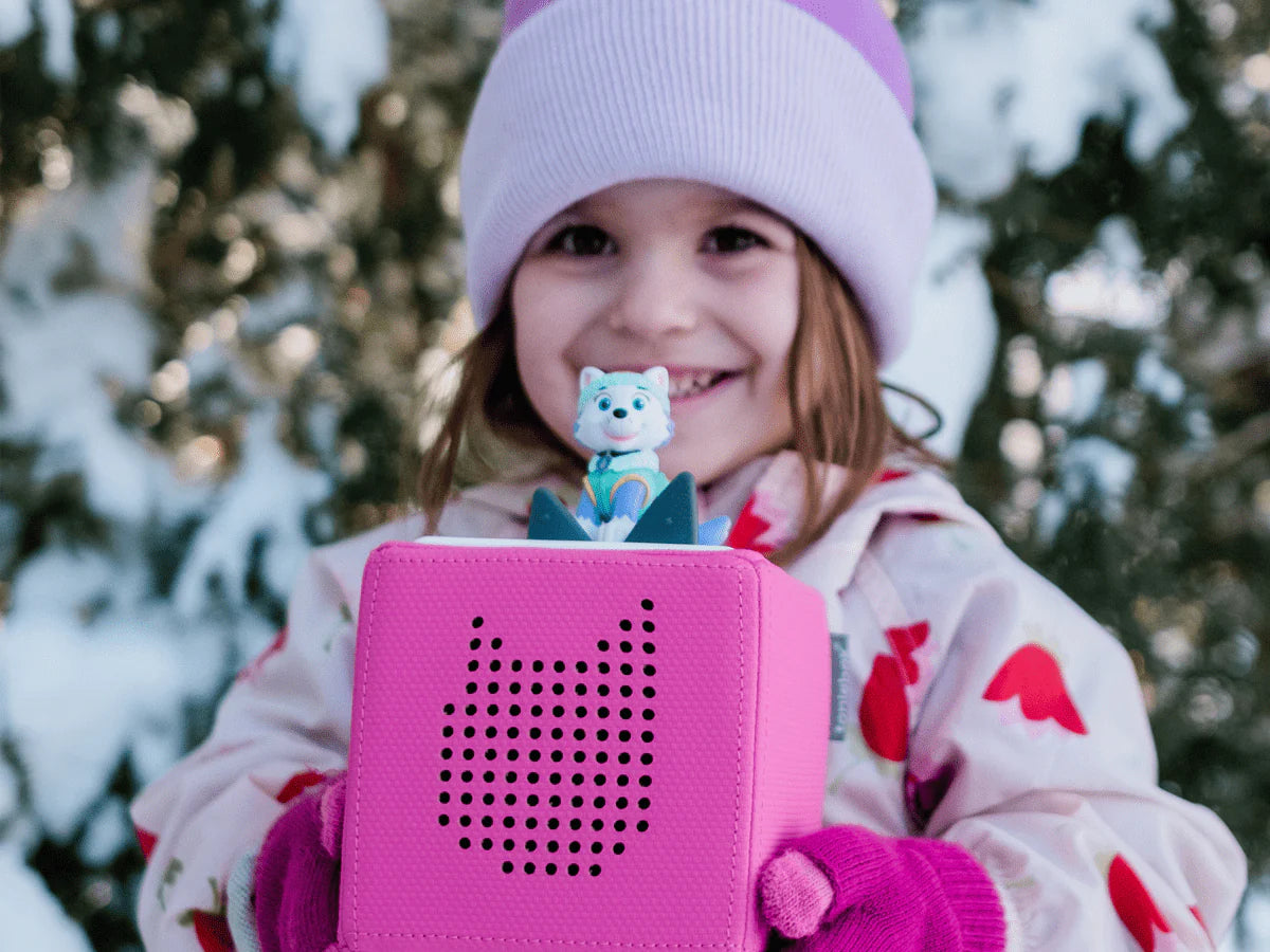 Paw Patrol Everest