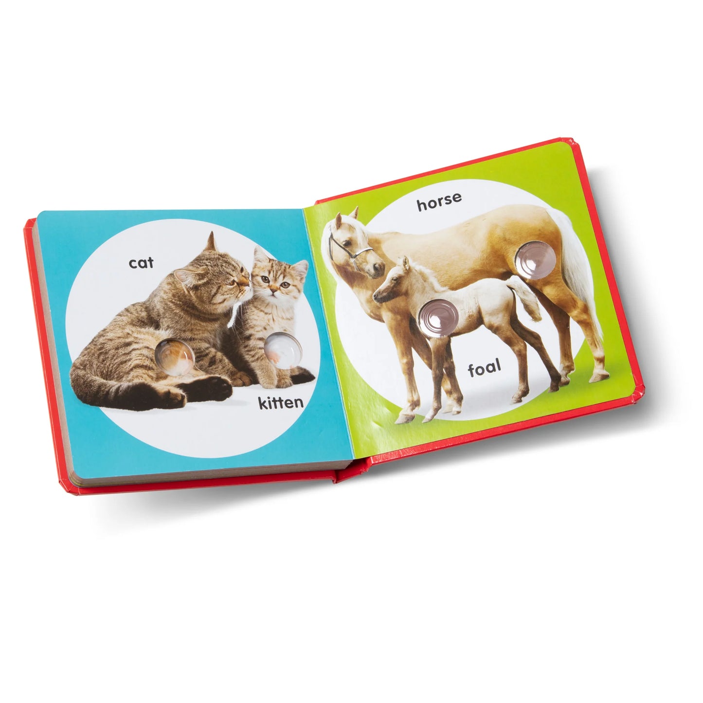 Poke a Dot Pet families