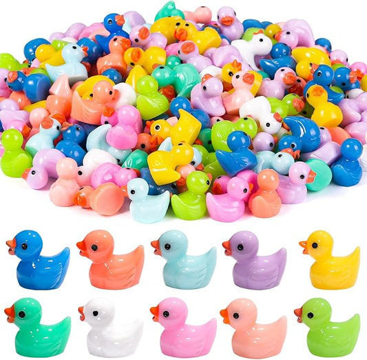 Little Colorful Duck mini