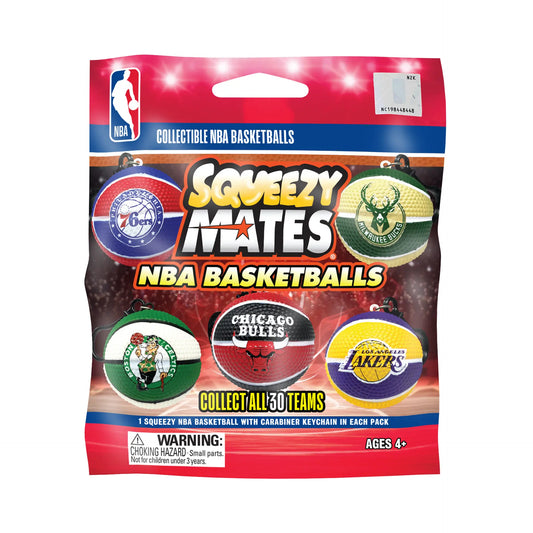 NBA Basketballs