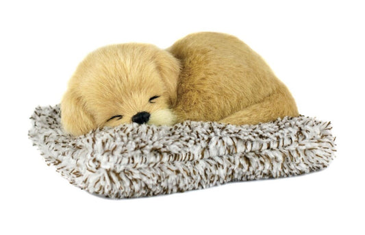 Easter – Page 2 – Learning Express Toys & Gifts - Omaha NE