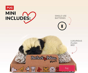 Mini Pug Perfect Petzzz