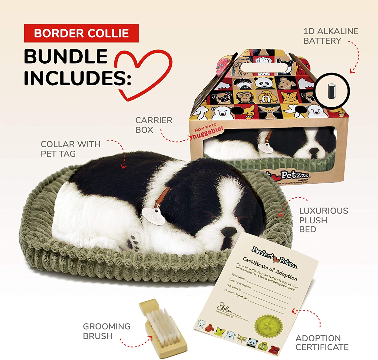 Border Collie Perfect Pet