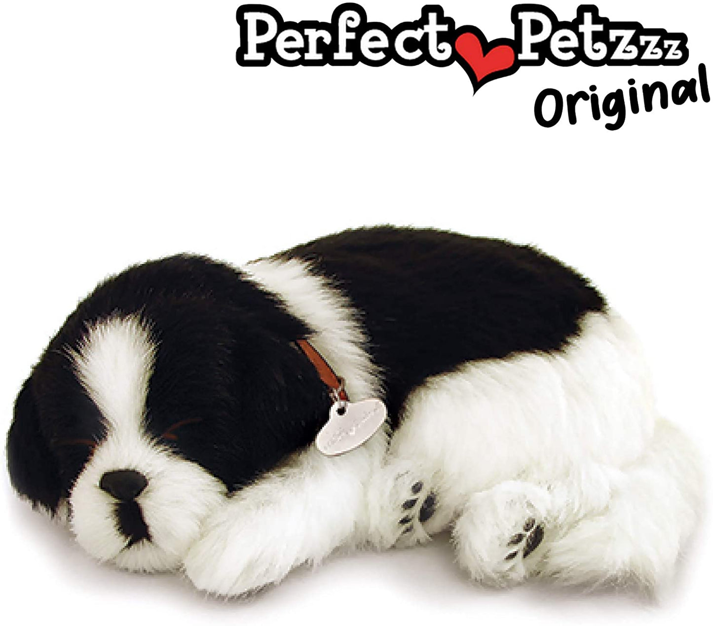 Border Collie Perfect Pet