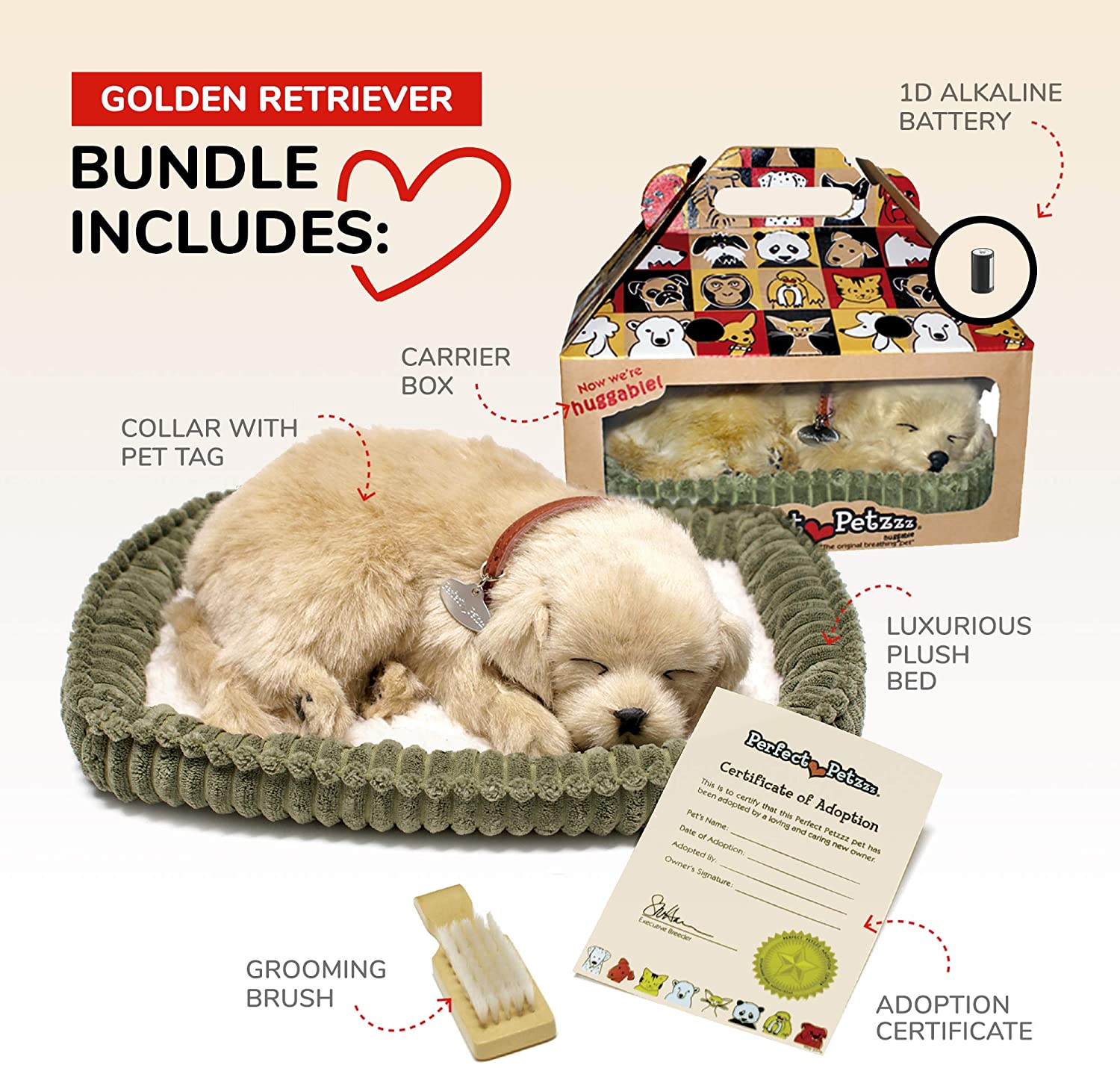 Golden Retriever Perfect