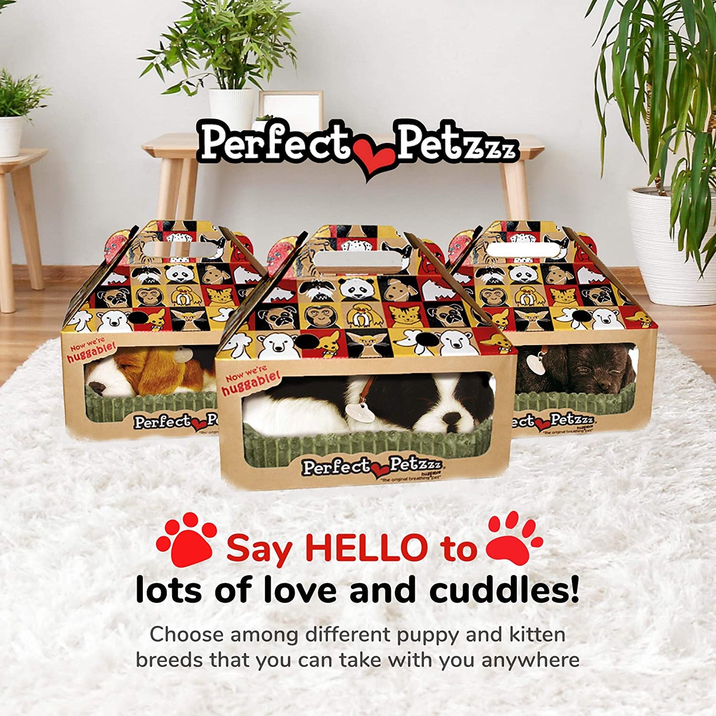 X Shih Tzu Perfect Pet