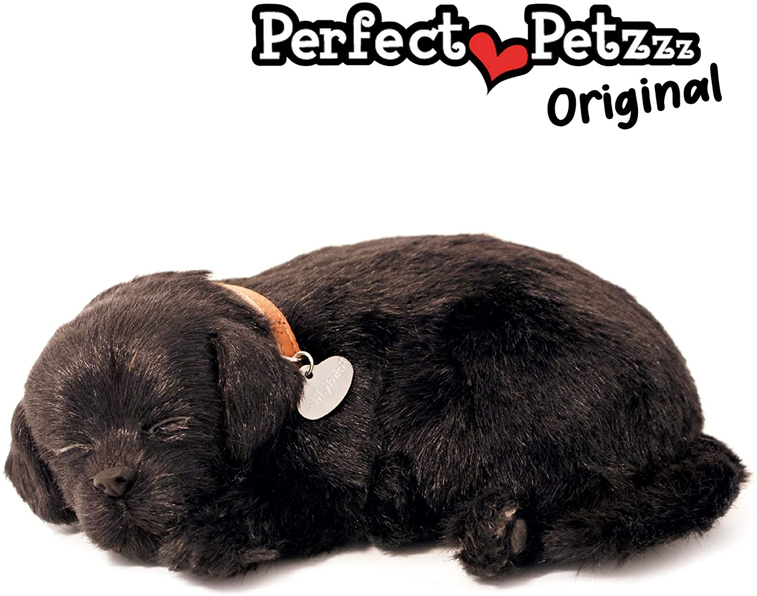 X Black Lab