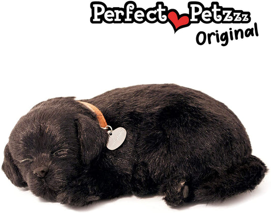 X Black Lab