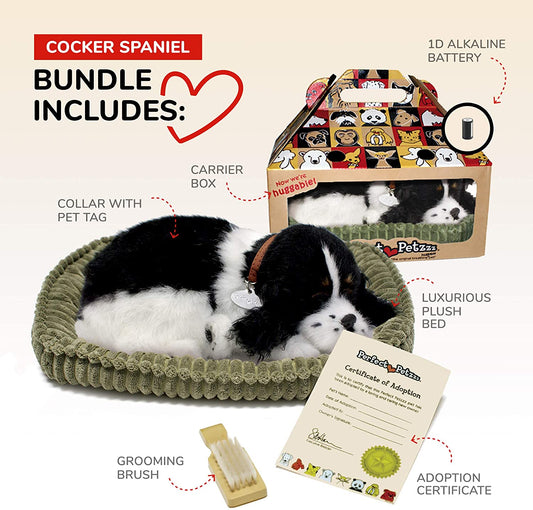 X Cocker Spaniel