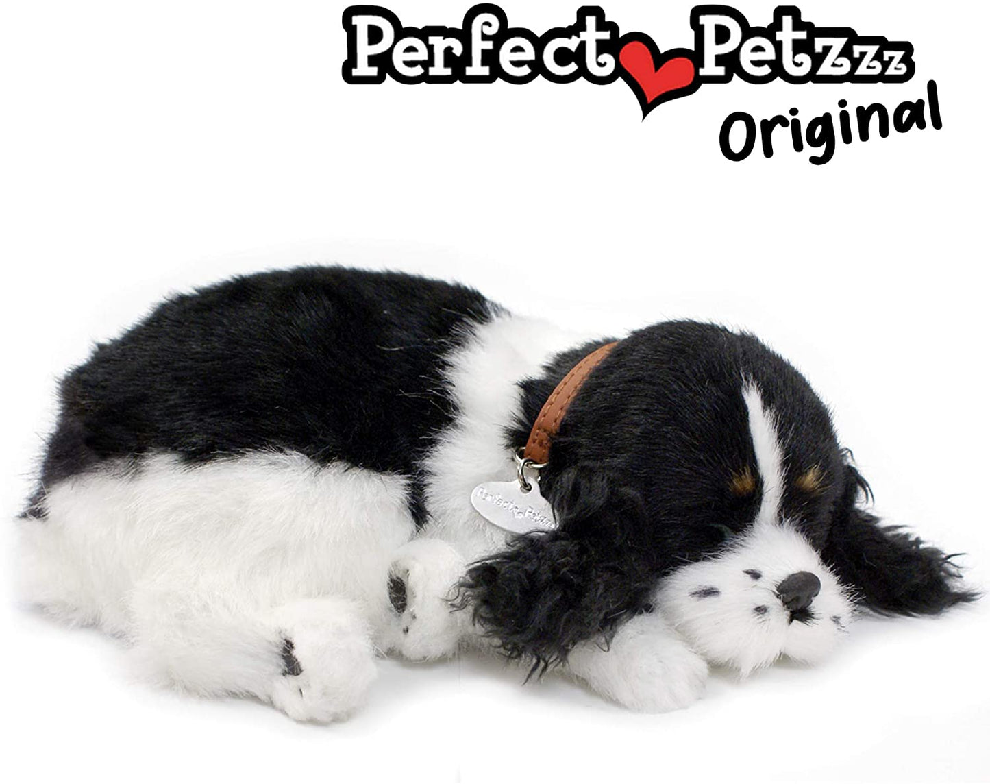 X Cocker Spaniel