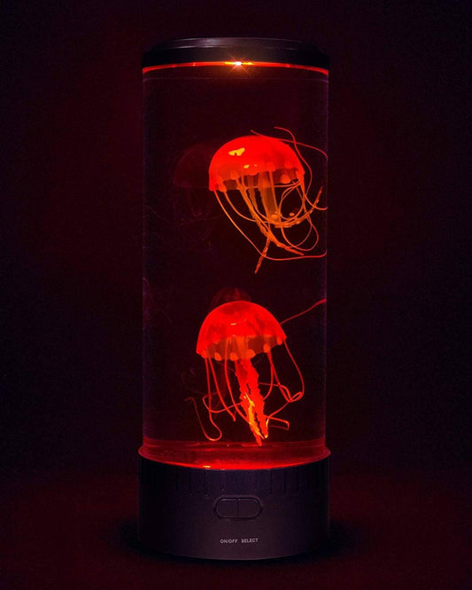 Jellyfish Big Dlx 99.99